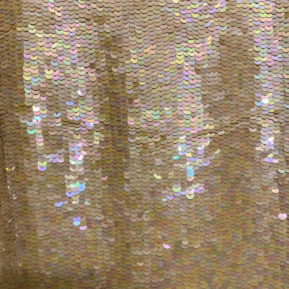 Niteline by Bella Rourfagali size 12-14 Ivory sequin tank AB sequins side slits - Picture 4 of 16